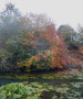 Canal colours Canal colours