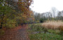 Back in Moses Gate Country Park Back in Moses Gate Country Park