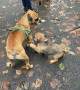 Betty meets Otis Betty meets Otis