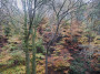 Fabulous colours today Fabulous colours today