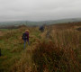 Rough path