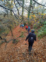 Autumn falls Autumn falls