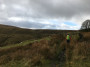 Rossendale path