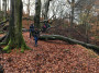 Crunching through the woods Crunching through the woods