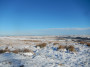 Winter Wonderland Winter Wonderland