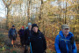 Through the woods