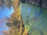 Green canal Green canal