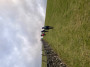 The last hill The last hill