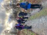 Viv's first walk for years! Viv's first walk for years!