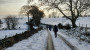 A snowy track