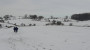 Winter wonderland Winter wonderland