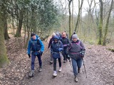Through Borsdane Wood