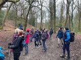 Listening to the Woodpecker Listening to the Woodpecker