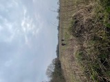 Along the field Along the field