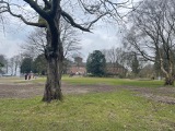 At Haigh Hall