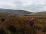 Hazel in the Bowland Fells Hazel in the Bowland Fells