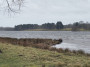 The lake at Tatton Park The lake at Tatton Park