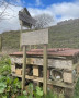B & B for Insects