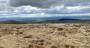 Beacon Fell and Parlick below us Beacon Fell and Parlick below us