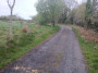 Lonely track