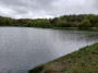 Swan haven Swan haven