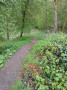 Spring has sprung Spring has sprung