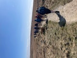 Along the moor
