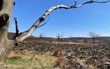 Sad result of a fire Sad result of a fire