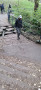 Still in the Park