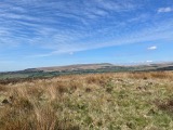 View to Winter Hill View to Winter Hill