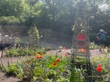 Turton Tower gardens