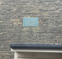 Barlow plaque Barlow plaque