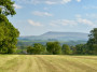 Pendle Panorama