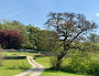 Ribble Valley landscape