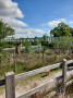 Dinckley Bridge