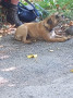 Otis has a rest Otis has a rest