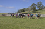 Striding out across the field. Striding out across the field.