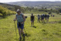 Lesley leads the way Lesley leads the way