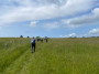 More fields More fields