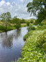 Peaceful river scene