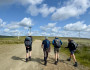 On the windfarm path