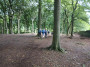 Through the woods