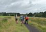Backs along the track Backs along the track