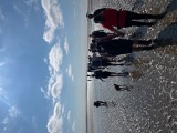 Walking into the Bay Walking into the Bay