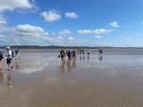 Bay walking Bay walking