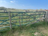 Bird gate Bird gate
