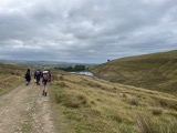 Moor track Moor track