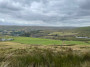 Back up on the moor