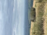Manchester skyline