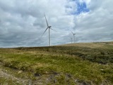 Windfarm Windfarm